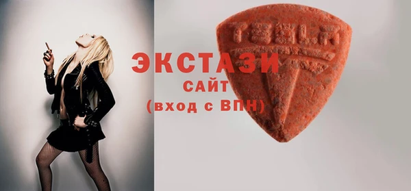 прущий лед Новозыбков