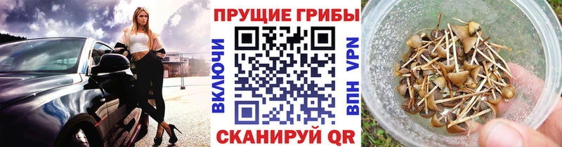 что такое наркотик  Нурлат  kraken ССЫЛКА  Псилоцибиновые грибы мицелий 