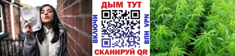 хочу   Нурлат  Марихуана семена 